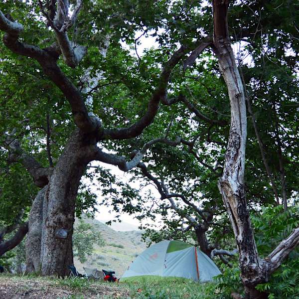 Sycamore Canyon Campground Point Mugu Ca 9 Hipcamper Reviews And 20 Photos