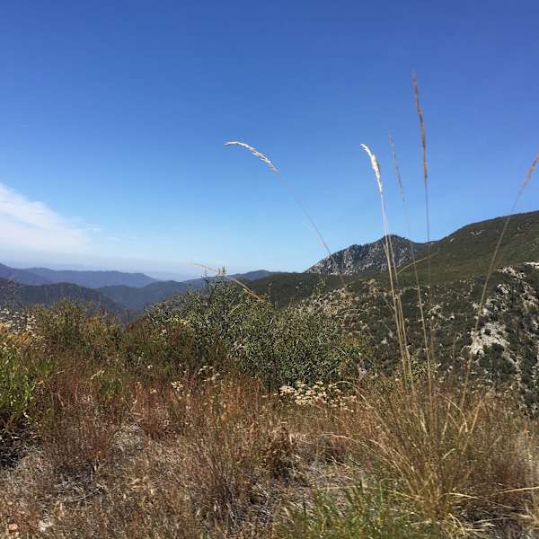 Crystal Lake Recreation Area And Campground, Angeles, CA: 3 ...