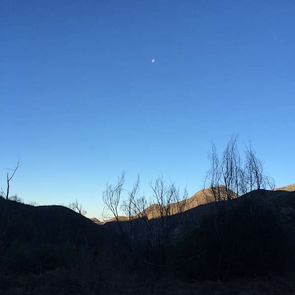 tom lucas trail camp