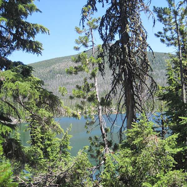Paul Dennis Olallie Lake Campground Mt Hood Or 1 Hipcamper