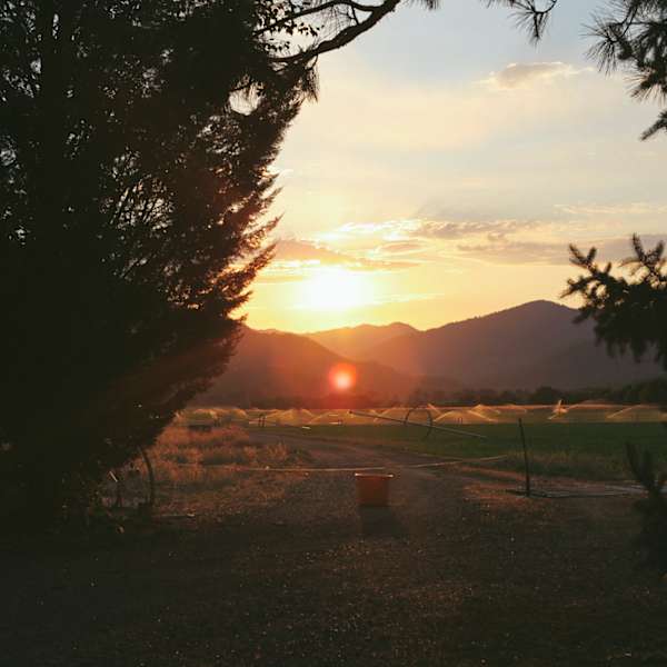 Sis Q Ranch Tent Camping