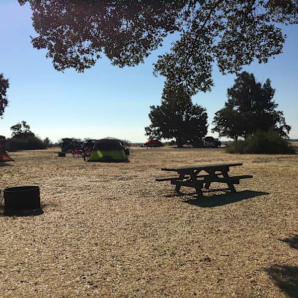 Cottonwood Campground Brannan Island Ca 1 Hipcamper Review And 5 Photos