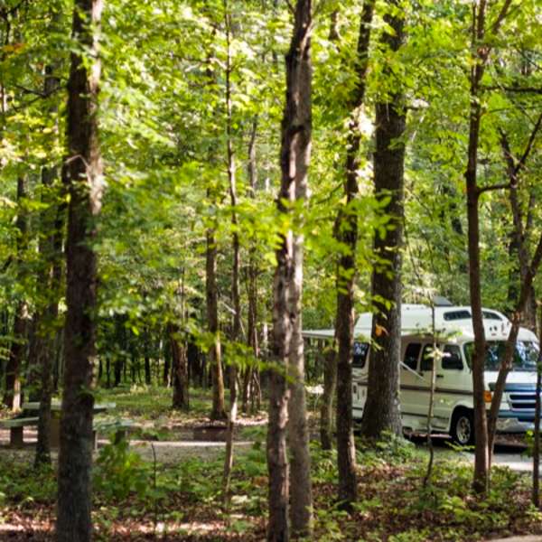 Top Of The Caves Campground : Sydney Family Camping Getaway Wombeyan Caves Let S Go Mumlet S Go Mum - Top of the caves campground.