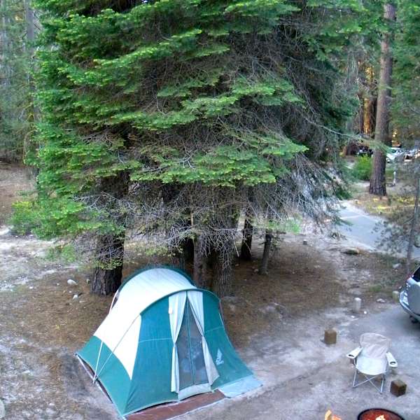 Stony Creek Sequoia Campground Map Stony Creek Campground, Sequoia Forest, Ca: 3 Hipcamper Reviews And 5 Photos