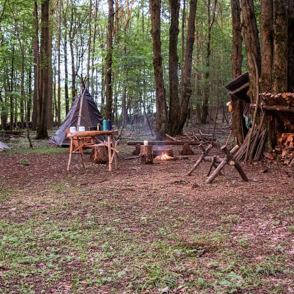 Best Camping On And Near Finger Lakes National Forest