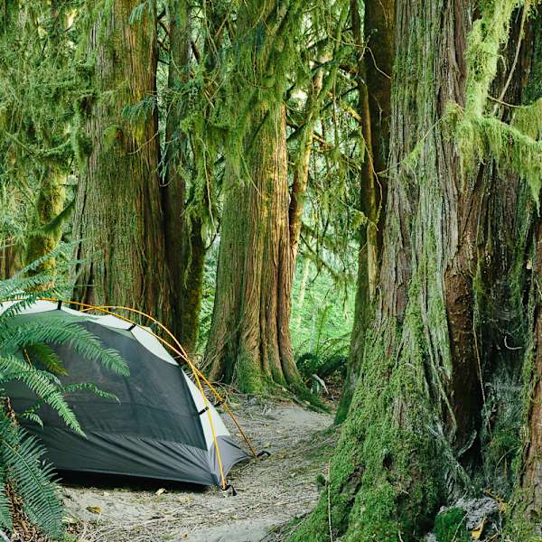 Forests Fields Creek Oh My Finney Farm Wa 113 Hipcamper Reviews And 150 Photos