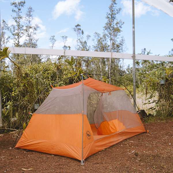 The Orchid Papa S Hawaiian Orchid Farm Hi 72 Hipcamper Reviews And 80 Photos