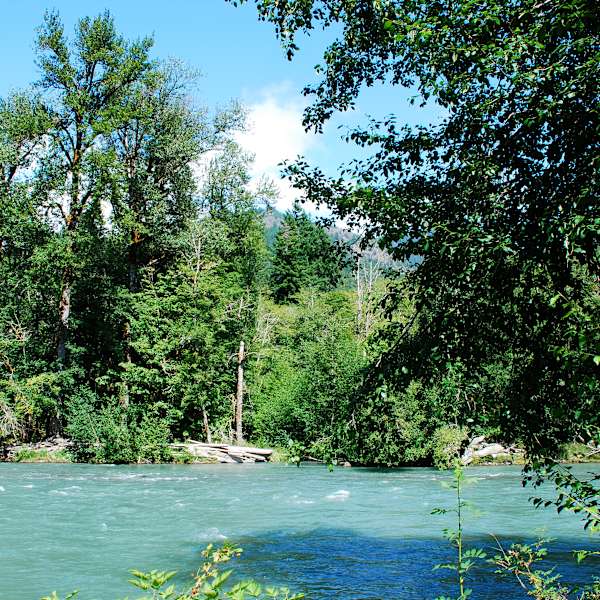 Elwha Campground Olympic National Park Wa 1 Hipcamper Review And 1 Photo