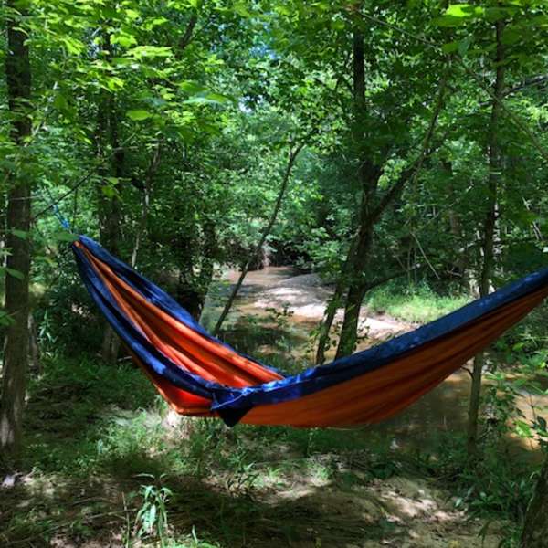 The 30 Best Campgrounds Near High Point North Carolina