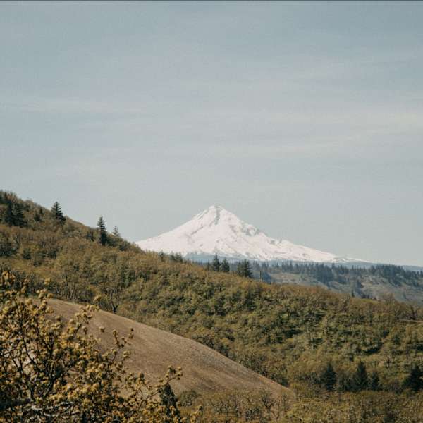 Peach Beach Rv Park Campground Reviews Updated 2020