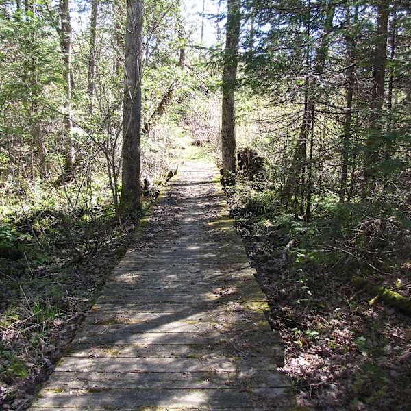 Black Lake Campground Chequamegon Wi 1 Hipcamper Review And 3