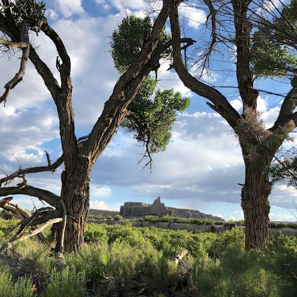 The 30 Best Campgrounds Near Torrey Utah