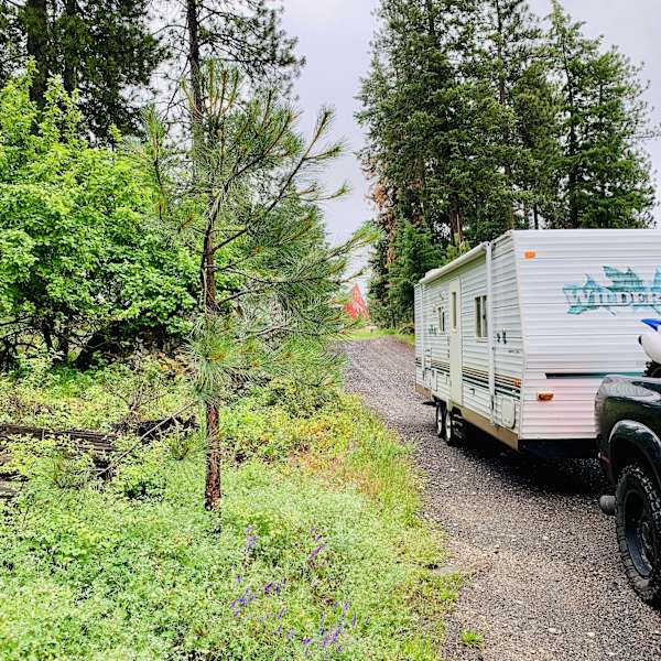 Mountain View S Grassy Meadow Jim S Tree Farm In Green Bluff Wa 21 Hipcamper Reviews And 32 Photos