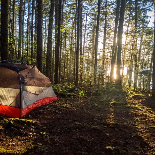 Leaderboard for America's Best Hipcamps to visit in 2021 | Hipcamp