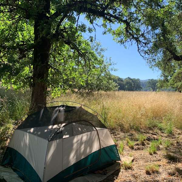 Best Camping In And Near Sinkyone Wilderness State Park