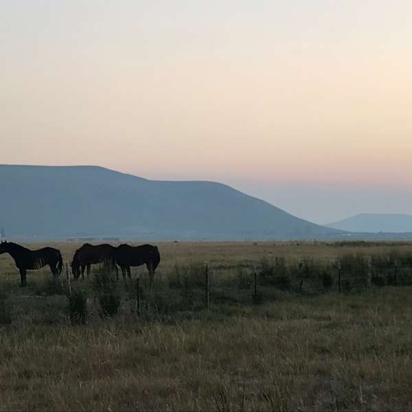 The 30 Best Campgrounds Near Sun Valley Idaho