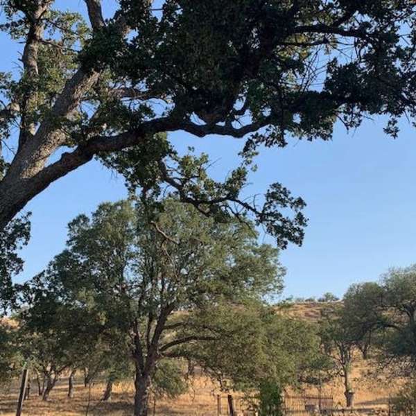 Burns Rv Park Updated 2020 Campground Reviews Oregon Tripadvisor