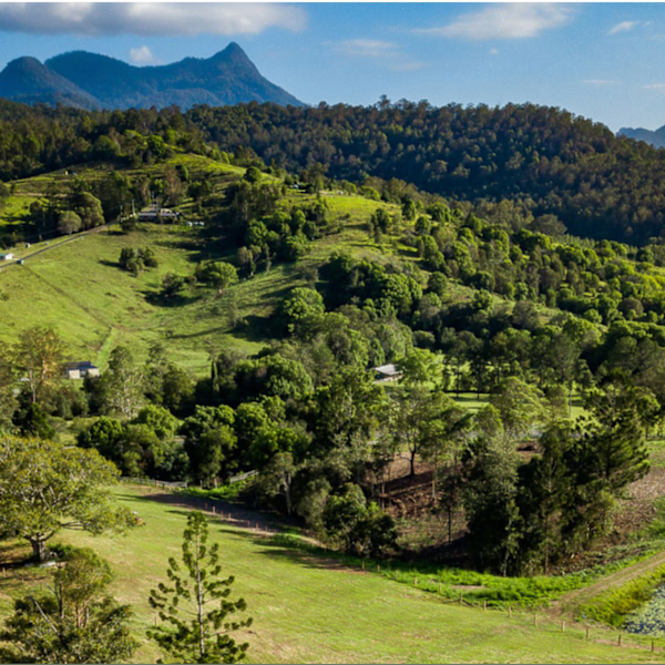 Mount Warning Views Camp Camping