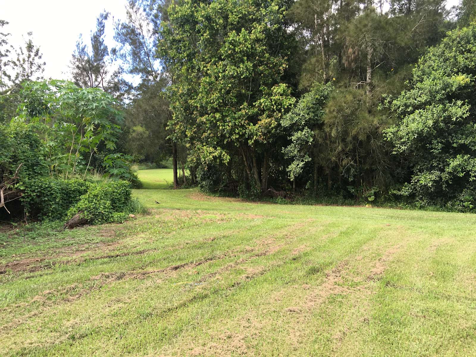 Mt Burrell Camping Hipcamp in Mount Burrell, New South Wales
