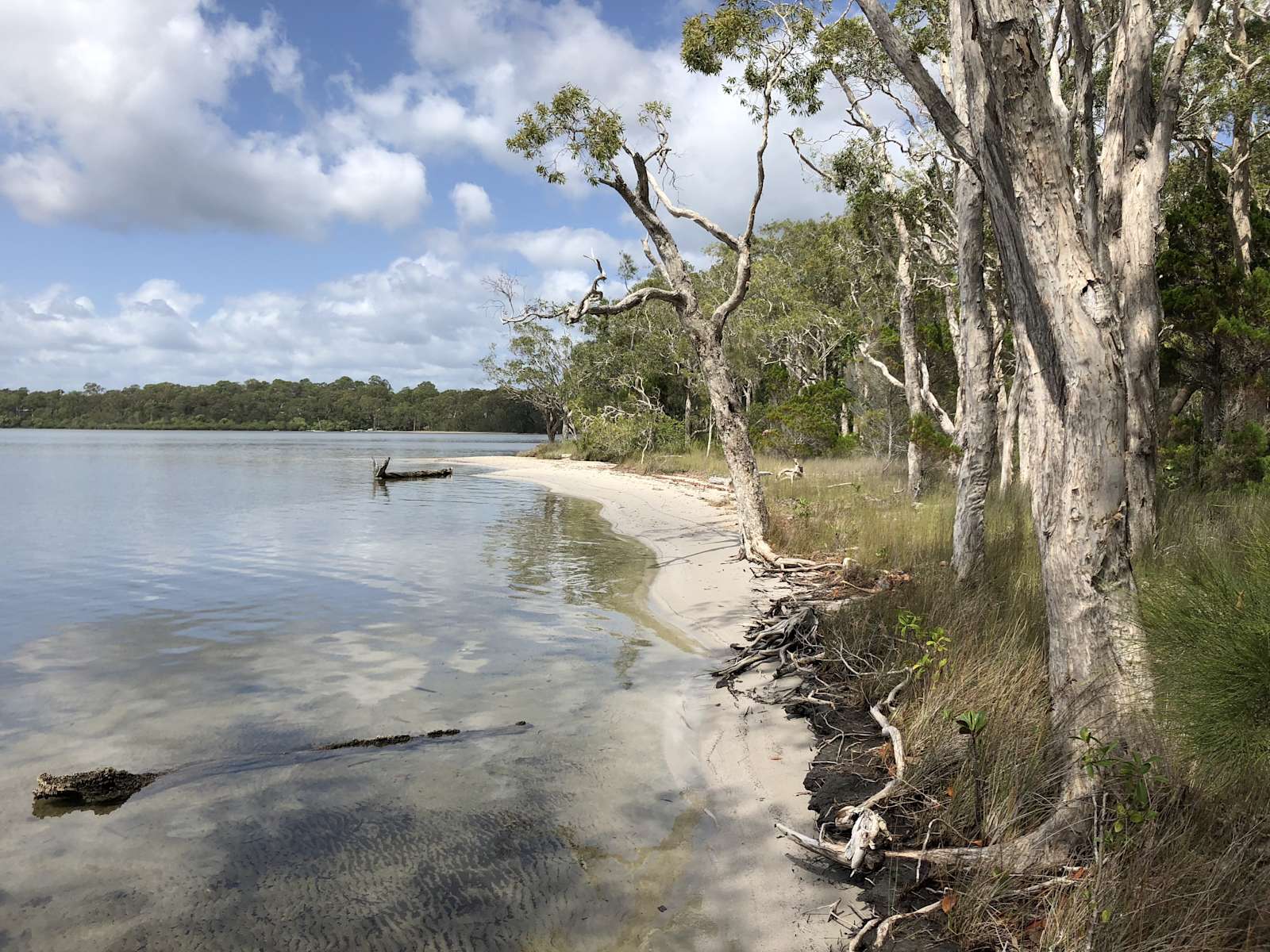 Lakelands Noosa Hipcamp in Cooroibah, Queensland