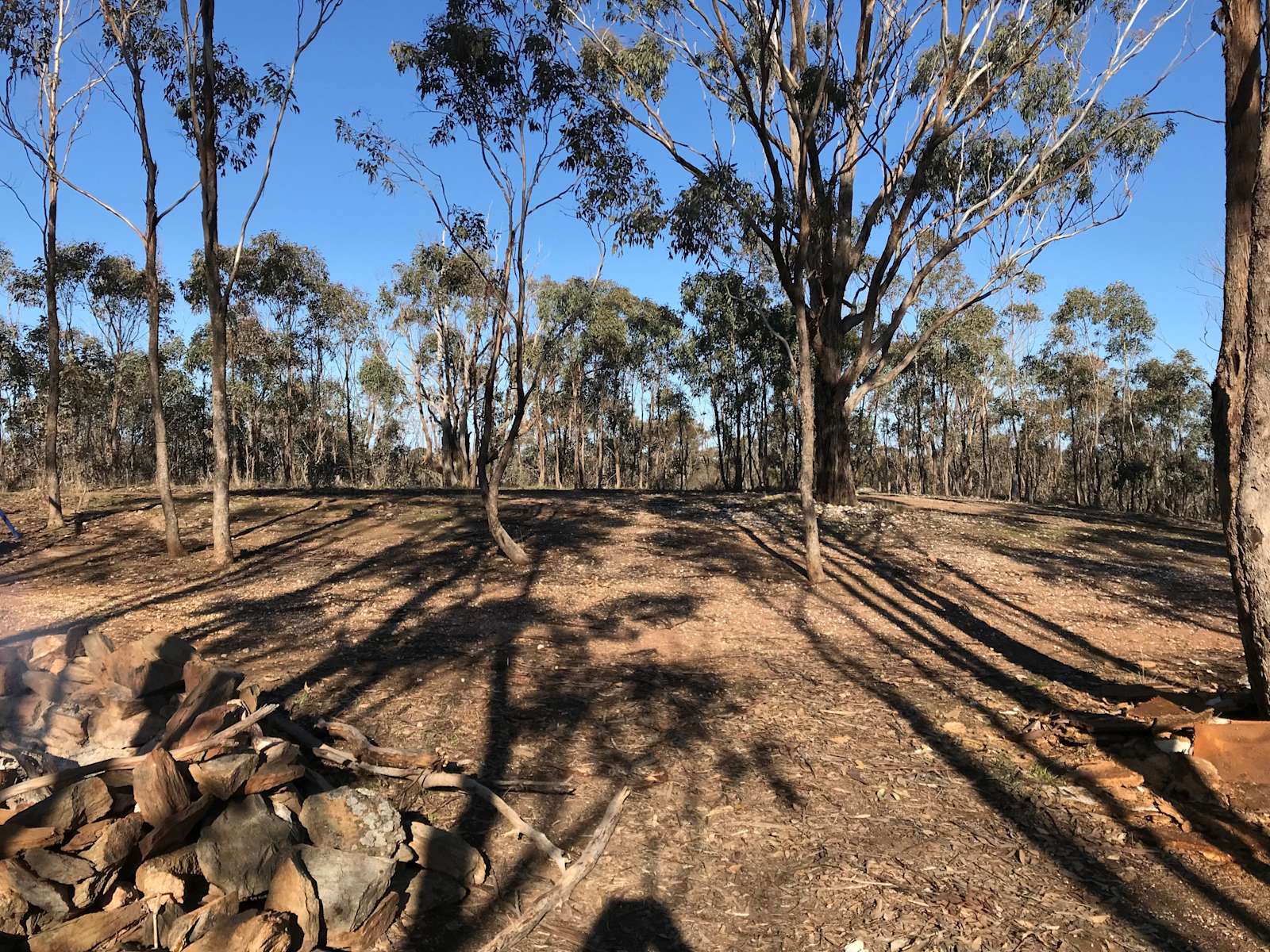 Bush Block Getaway Hipcamp in Bealiba, Victoria