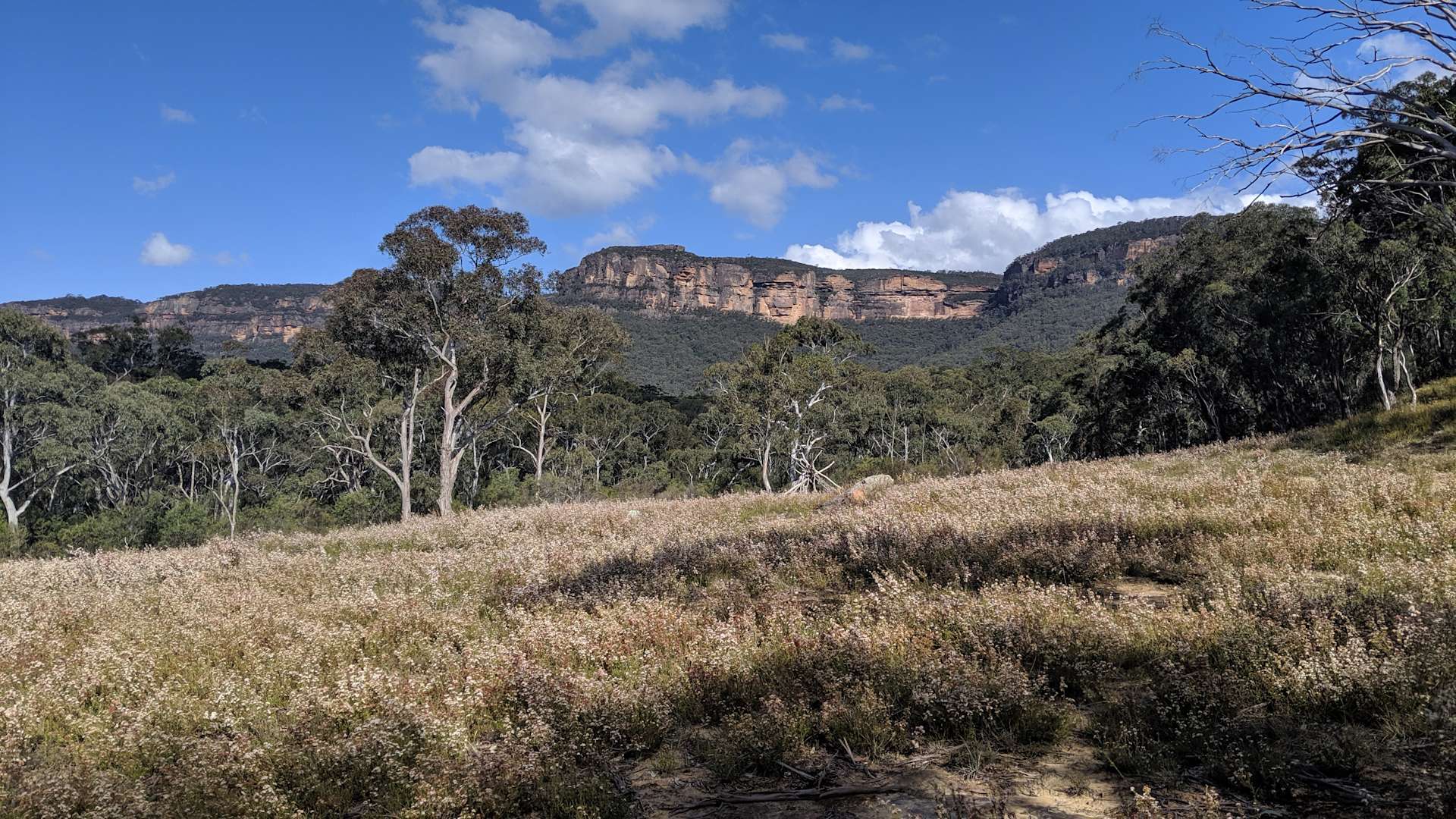 High Country Farm Stay Hipcamp in Black Springs, New South Wales
