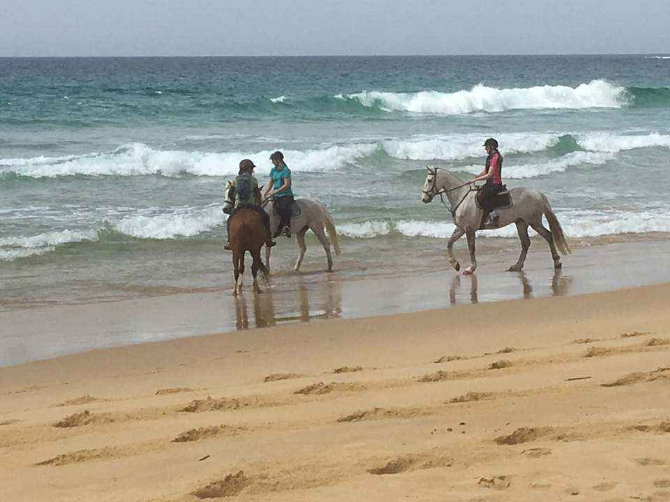Ellesmere Equestrian Centre Hipcamp in Turlinjah, New South Wales