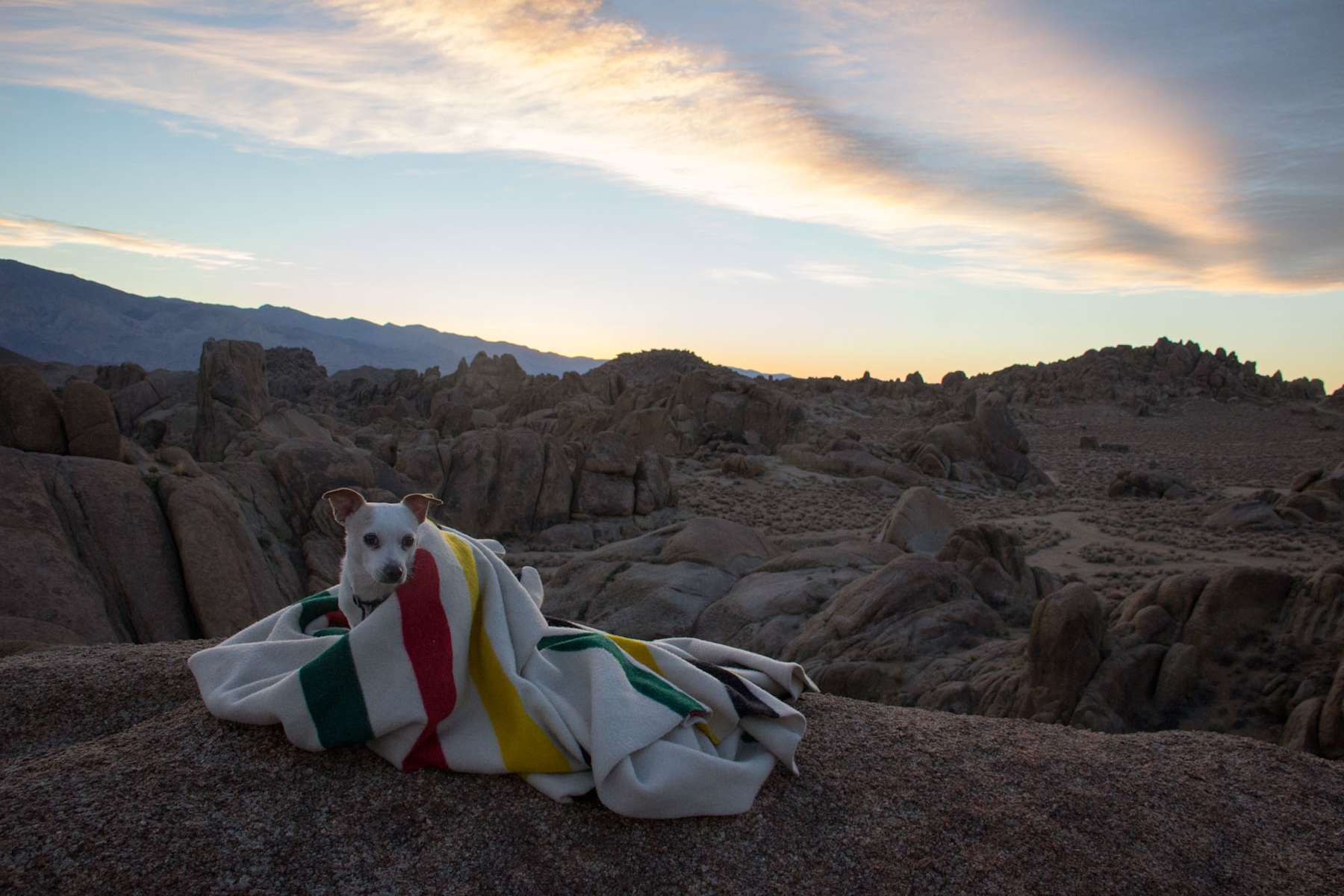 Lone Pine Campground Inyo Ca 5 Hipcamper Reviews And 41 Photos