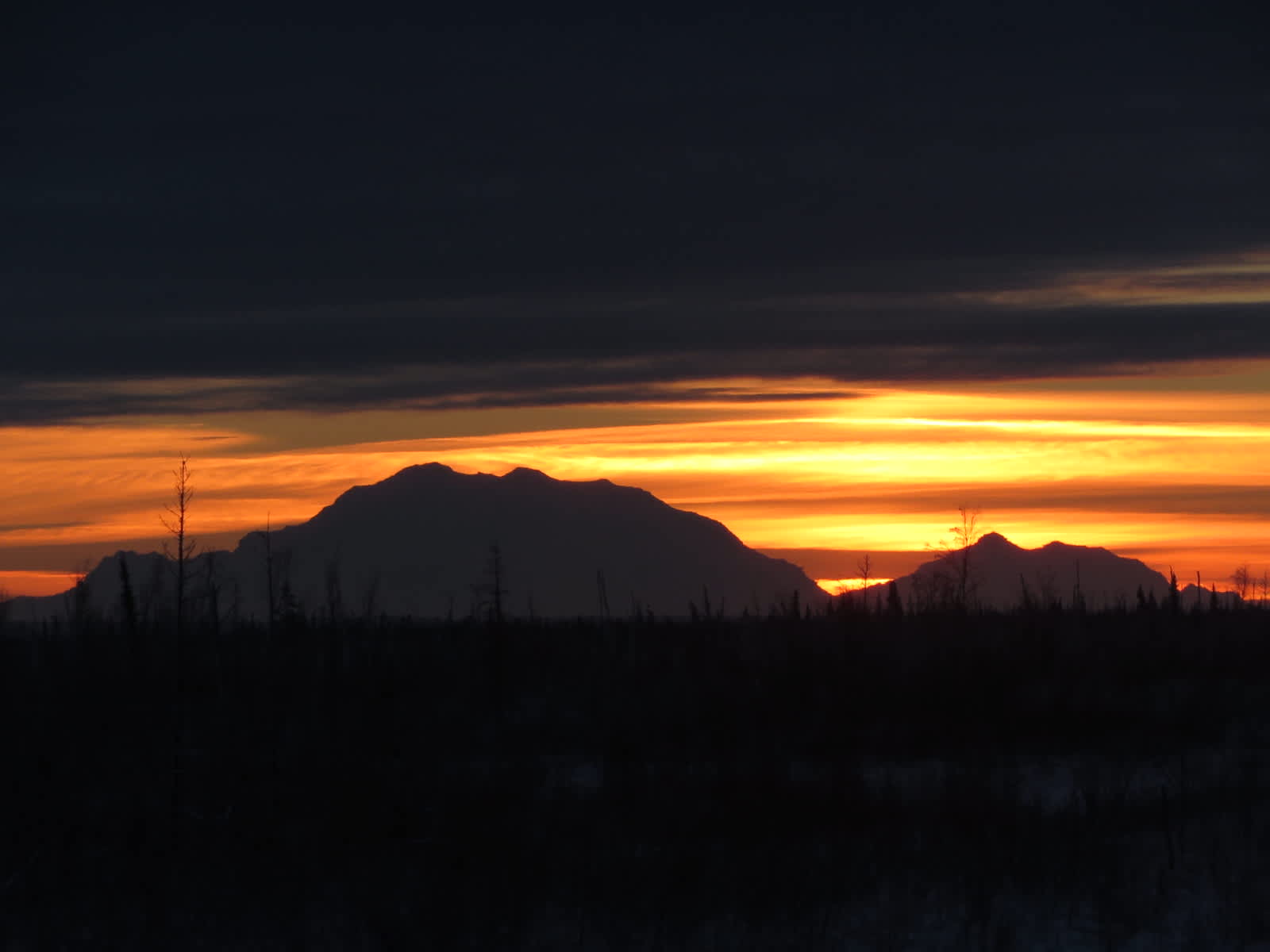The Coop Camp Hipcamp in Nenana, Alaska