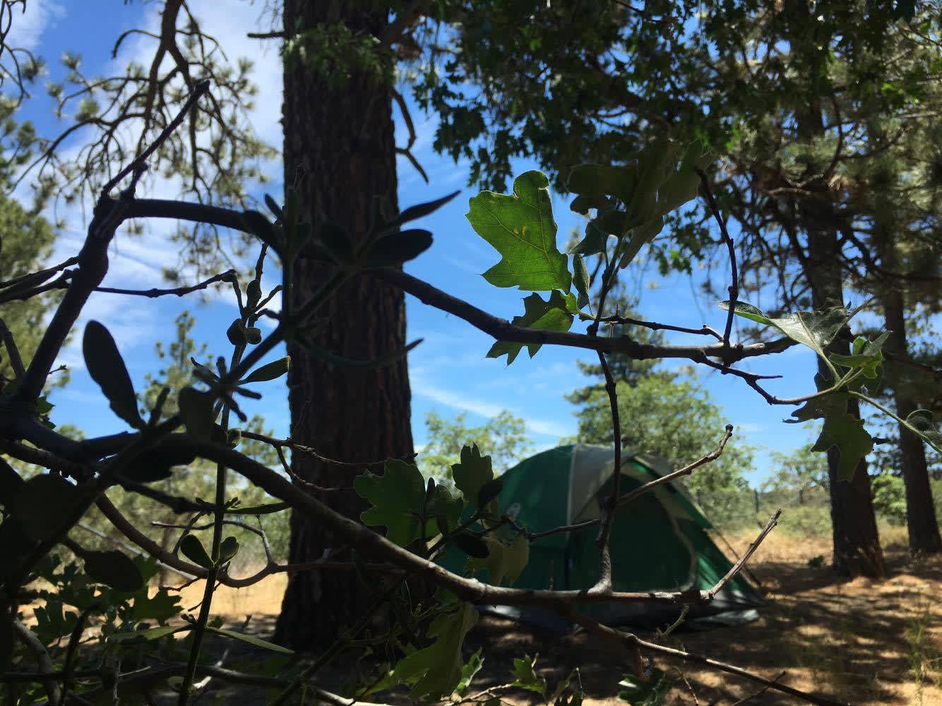 Mountain Oak Campground Angeles Ca 3 Hipcamper Reviews And 4 Photos