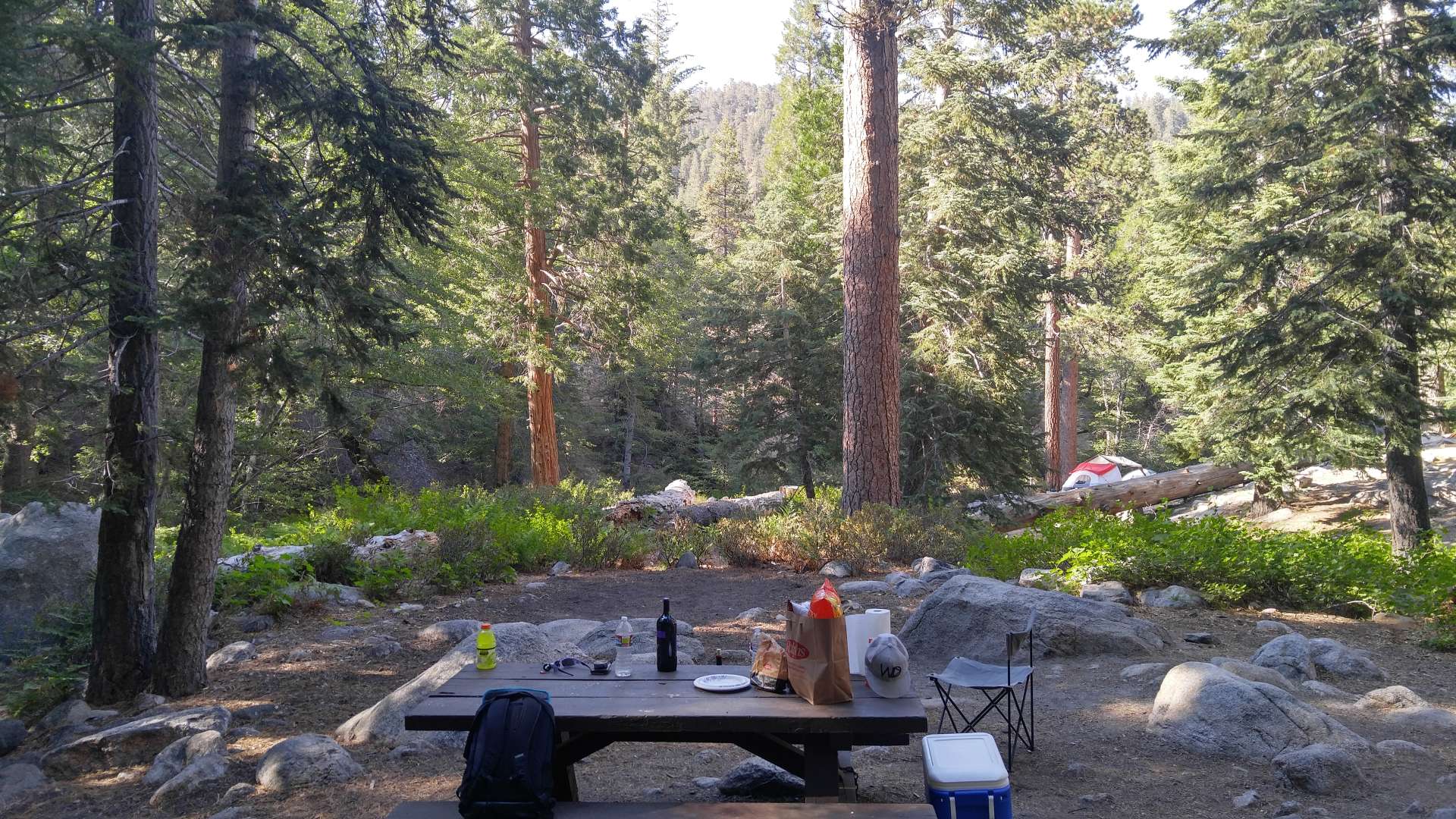 18+ Forest Camping Near Los Angeles