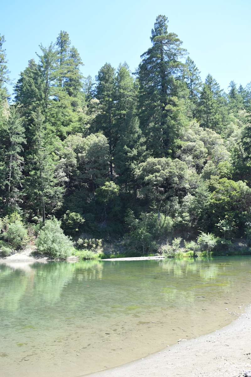 Hidden Springs Campground Humboldt Redwoods Ca 4 Hipcamper