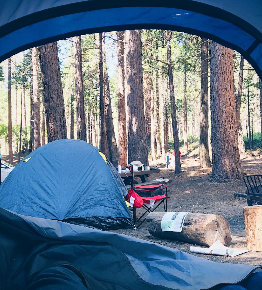 Hume Lake Campground Sequoia Forest Ca 5 Hipcamper Reviews And 8 Photos