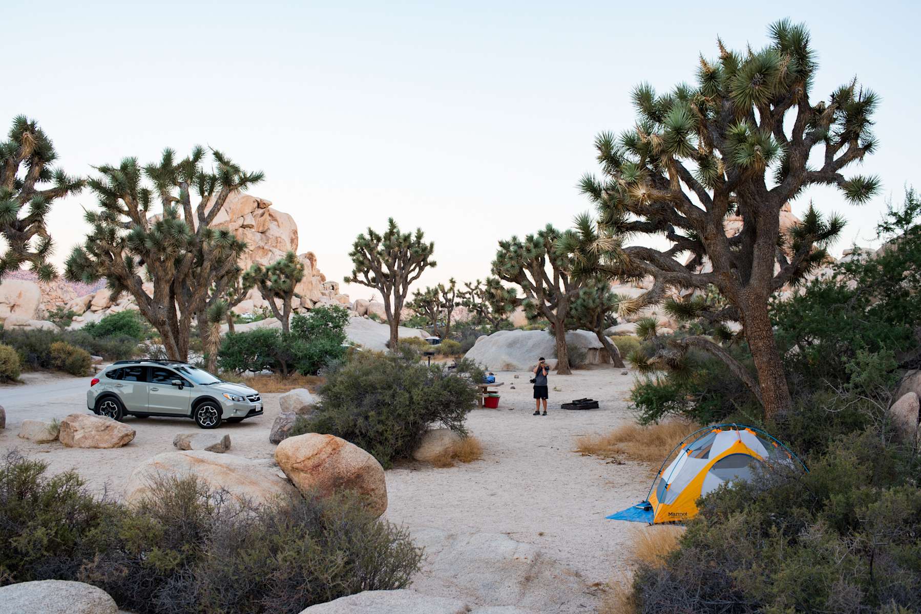 Hidden Valley Campground, Joshua Tree National Park