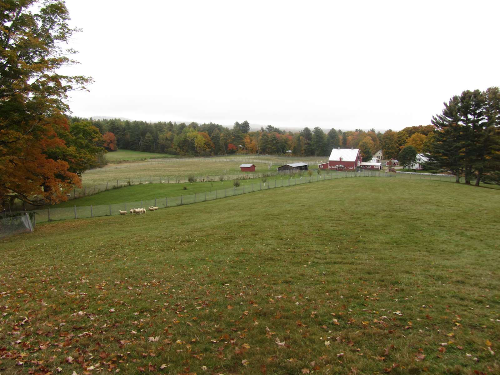 2 Brook Farm Hipcamp in Bingahm , Maine