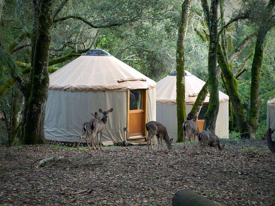 Nudist Campers - Lupin Lodge - Hipcamp in Los Gatos, California