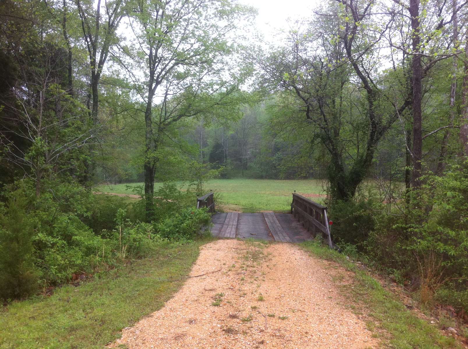 Toms Creek Hipcamp in Lobelville, Florida