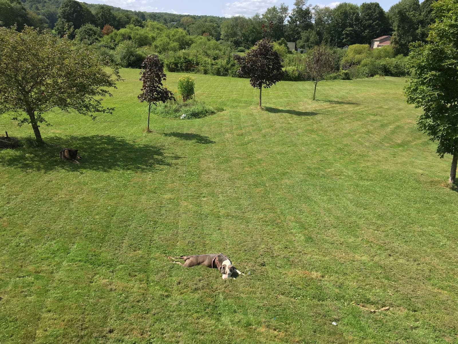 Fit Farm Bakerville Hipcamp in New Hartford, Connecticut