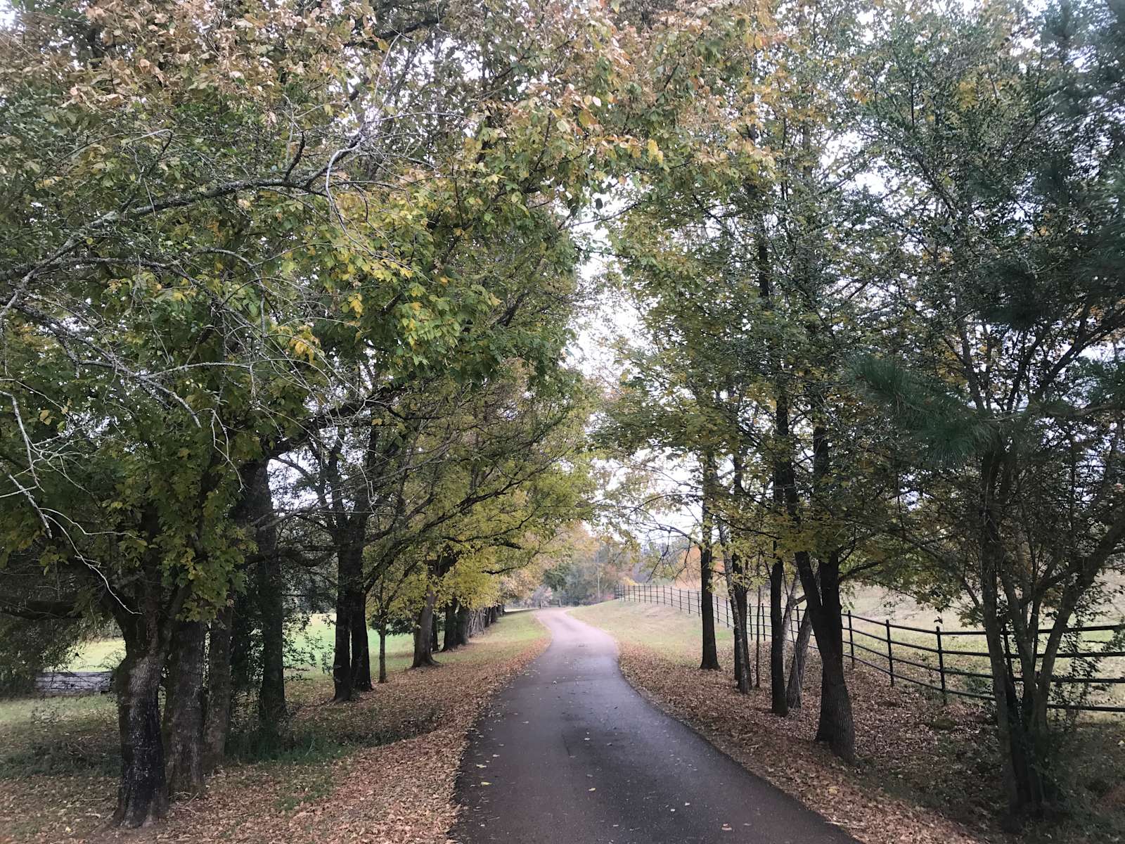 Oak Hill Stables Hipcamp in Oxford , Mississippi