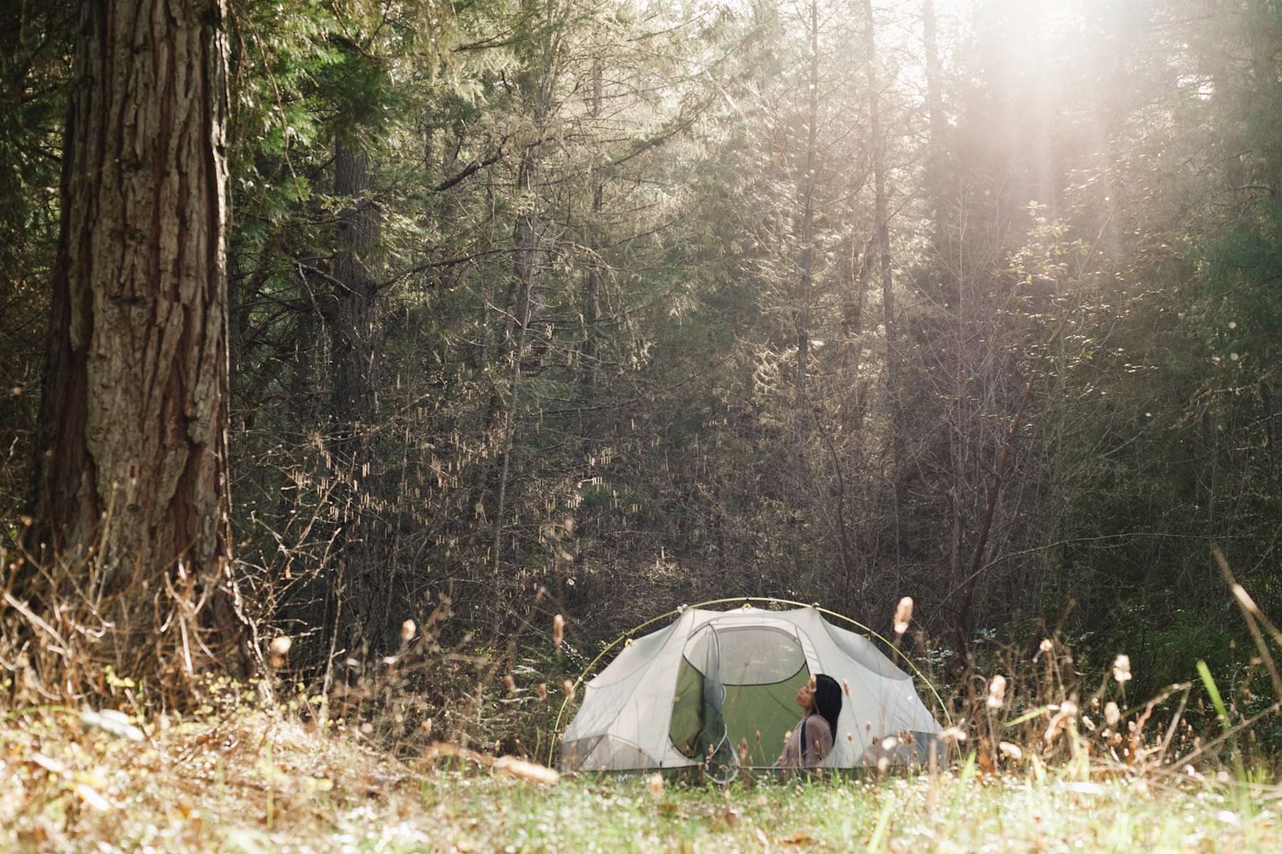 Hidden Forest Getaway Near Valley Of The Rogue State Park Hipcamp 89 Hipcamper Reviews And 71 Photos