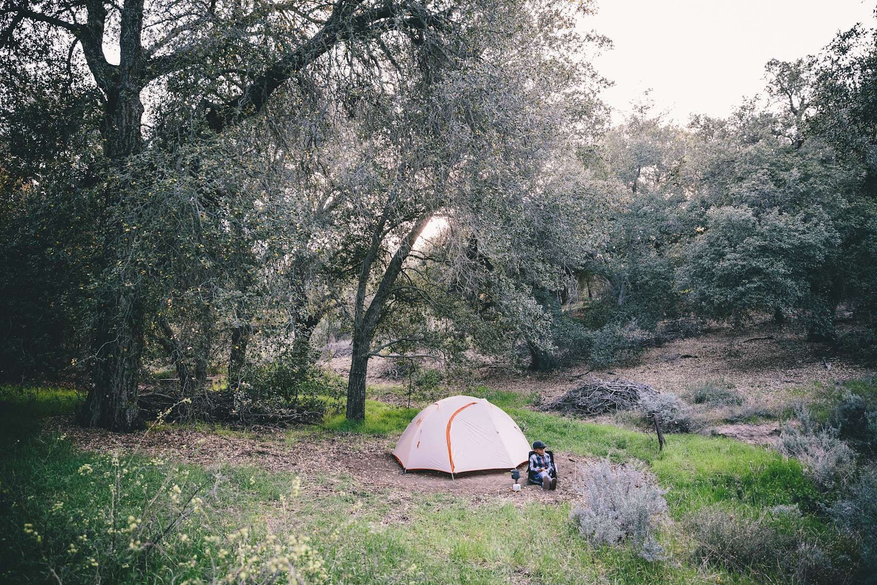 Rose Acres Farm Hipcamp in Boulevard, California