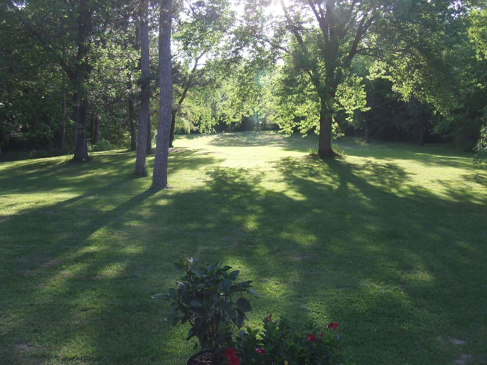 DreamTime Ranch Hipcamp in Reedsburg, Wisconsin