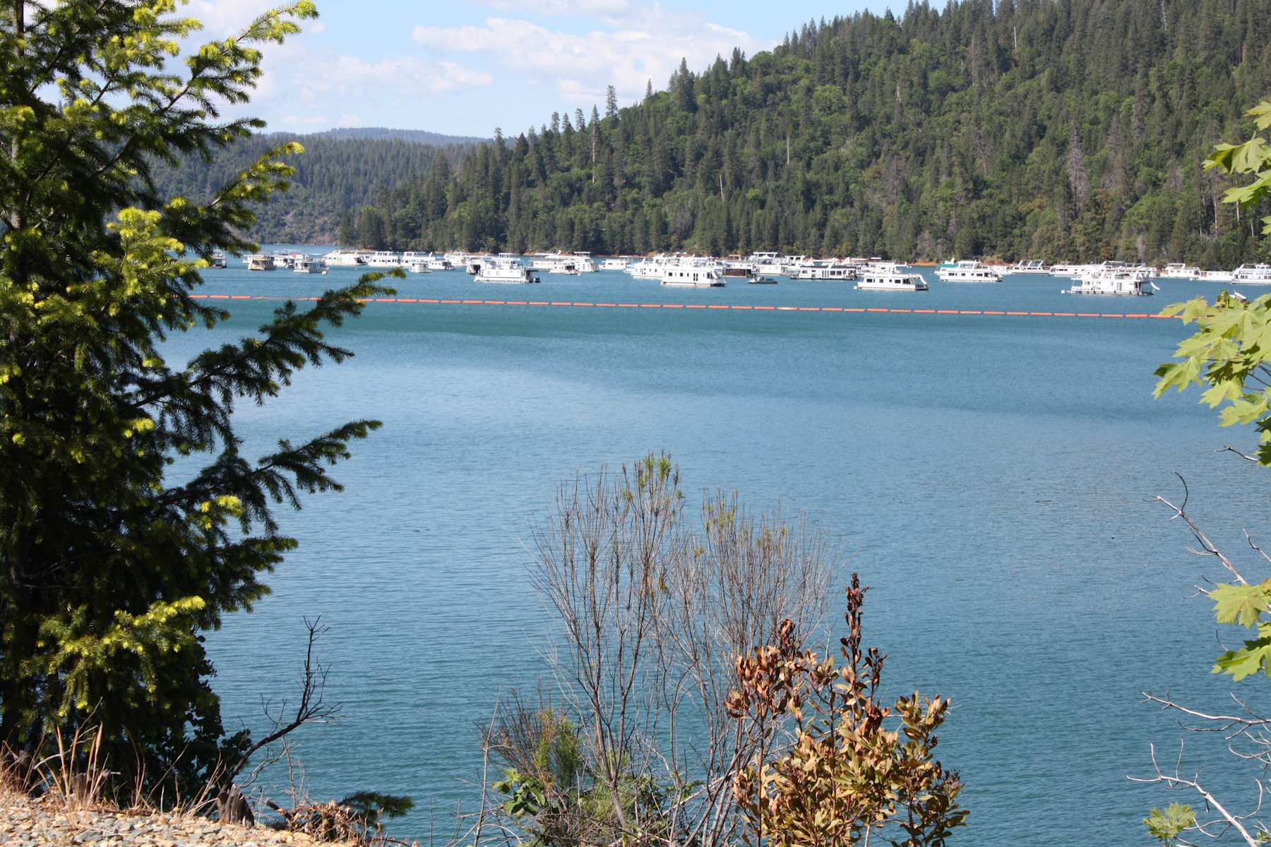 Escape To Bullards Lakeshore: Your Northern California Lakeside Getaway