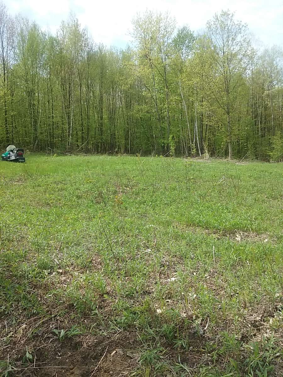 Rattlesnake Brook Camp Hipcamp in Bennington, Vermont