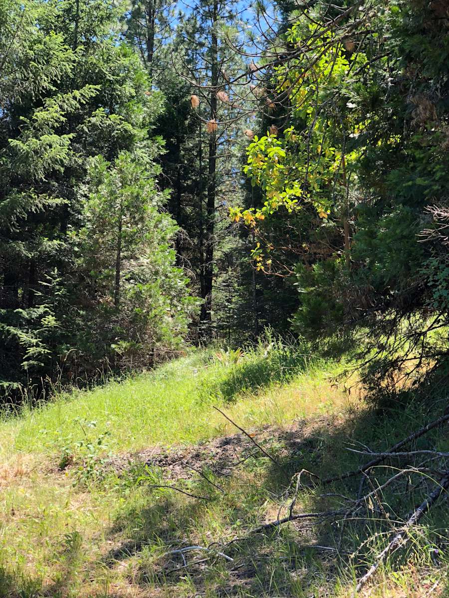 Camping Nook at Azalea Hipcamp in Azalea, Oregon