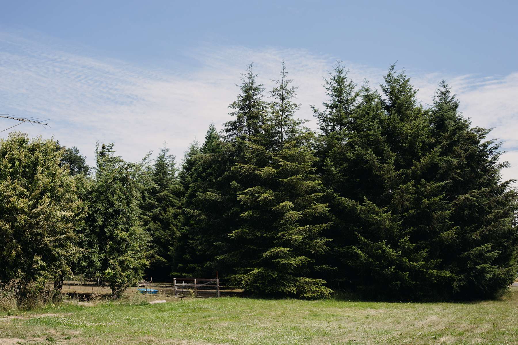 The Barton Family Farm & Ranch - Photo 3