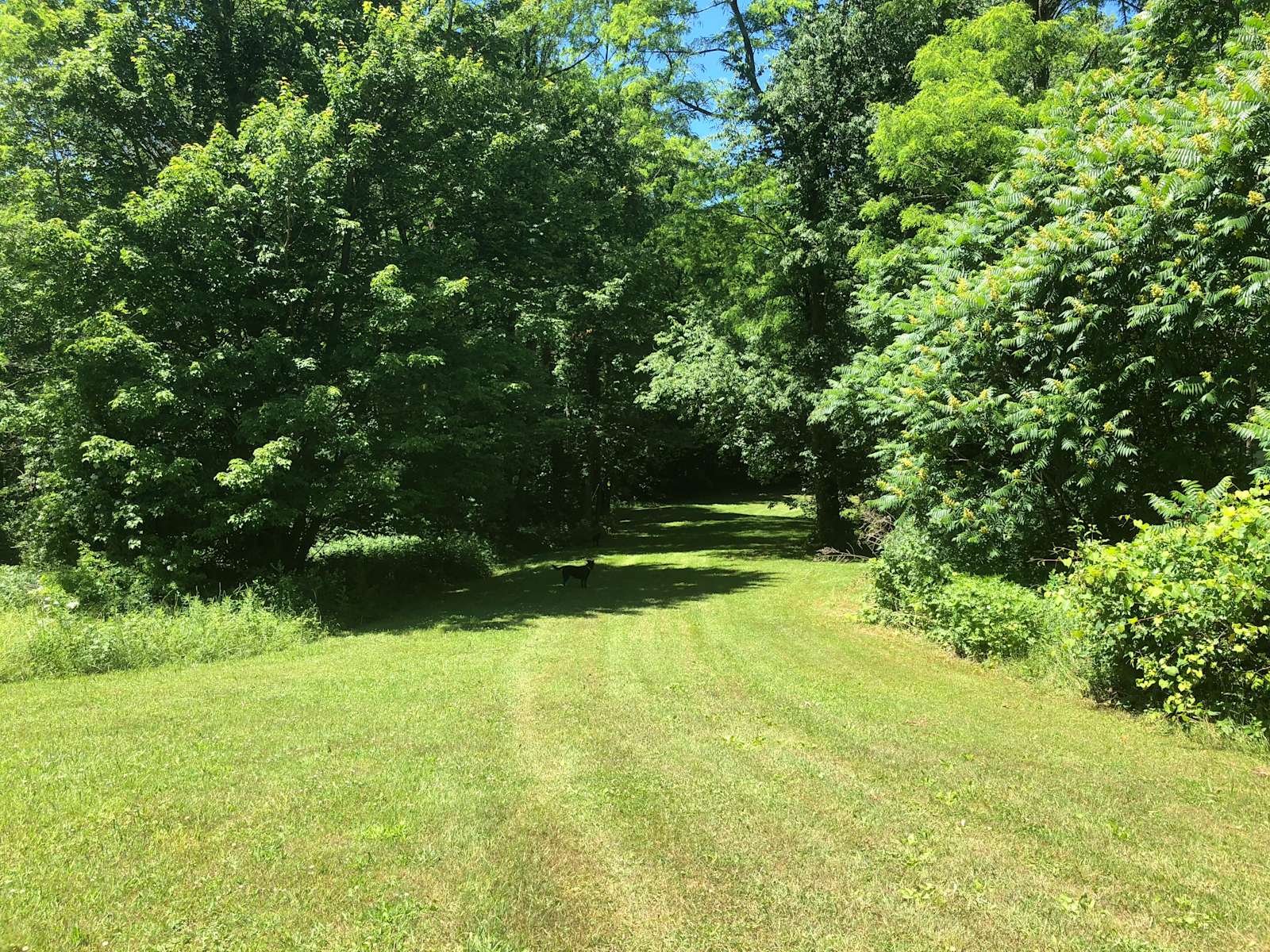 Sterling Creek Sites Hipcamp in Martville, New York