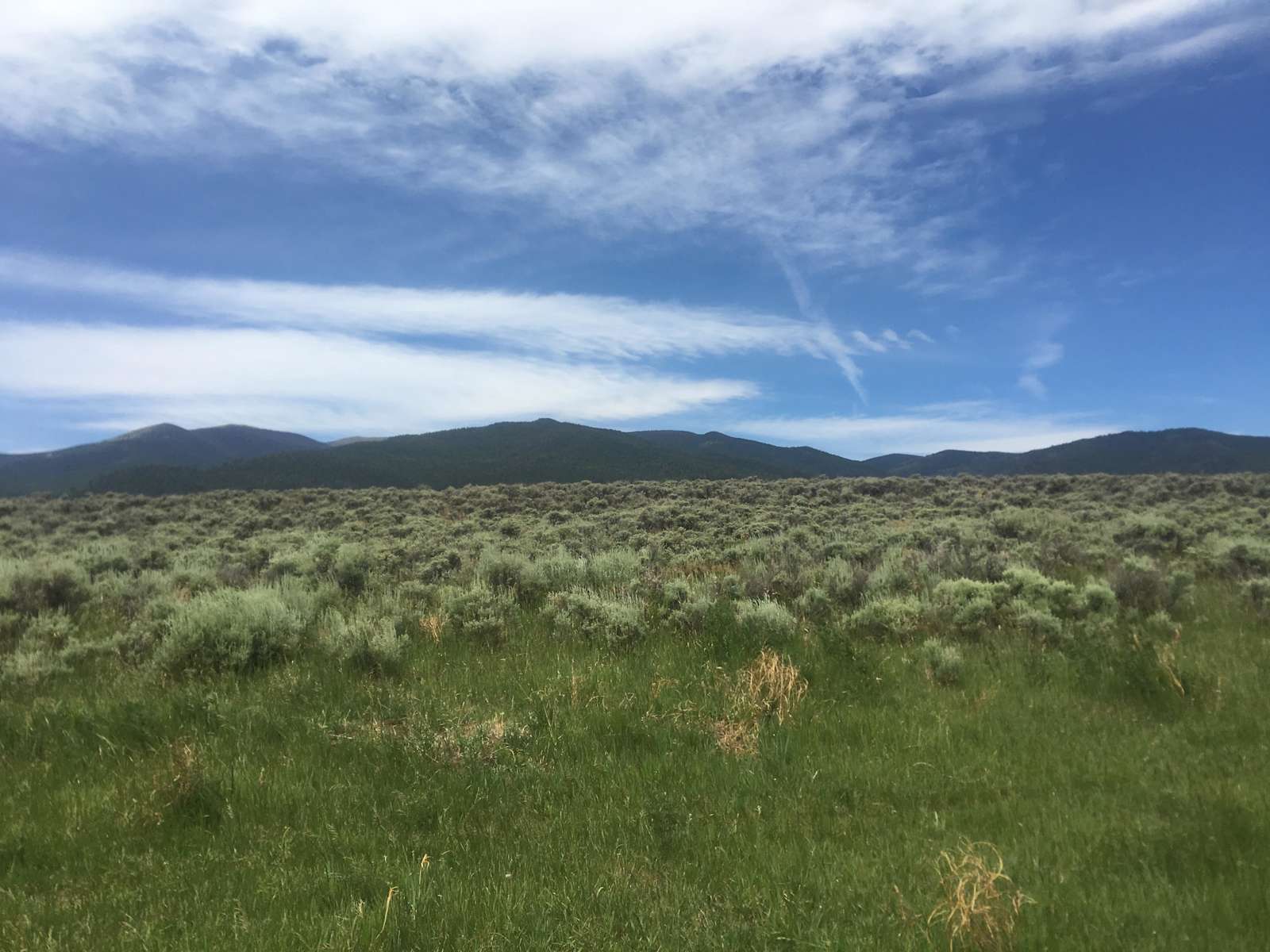 Angell Ranch - Hipcamp in Pine, Colorado