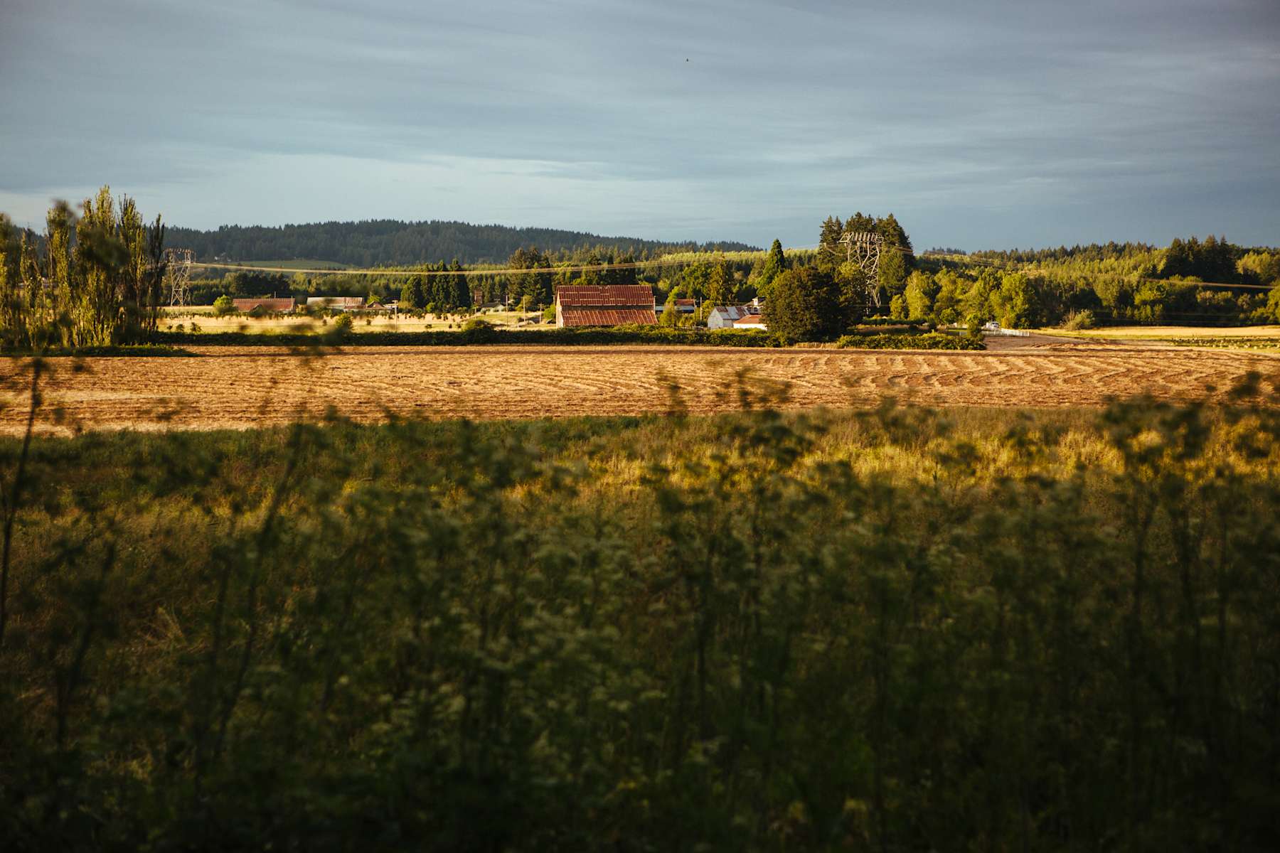 Croakers Crossing Farm Hipcamp in Beaverton, Oregon