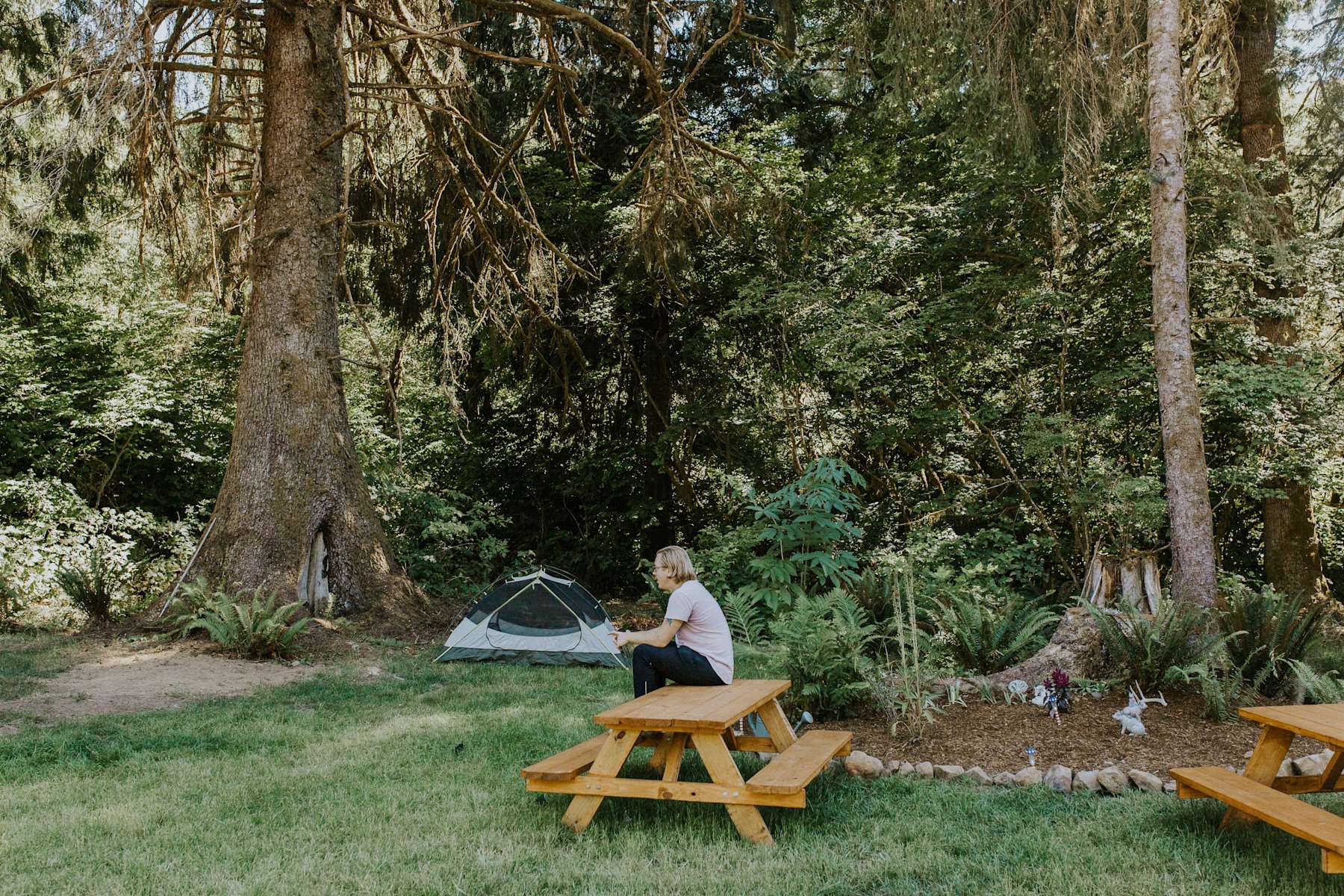 Rainier Heritage Farm Hipcamp in Rainier , Oregon